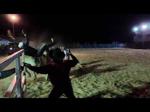 Bedourie Campdraft, Rodeo, Gymkhana