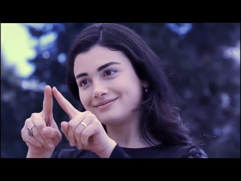 علي العيساوي القلب شفاف ملاحظه جميع الحقوق محفوظه لقنواتها الاصليه