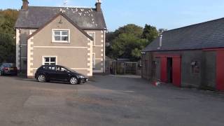 White Pigeons, Glynn Farm, County Antrim, Northern Ireland