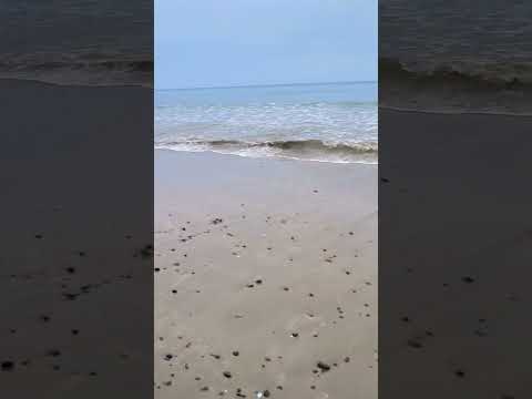 Beautiful 🌊beach🏖 of Andaman