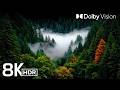 MOST STUNNING 8K HDR VIDEO YET DOLBY VISION 60FPS FOR 4K 8K TVS