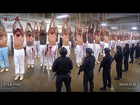 New Videos From Inside El Salvador's Mega Prison Go Viral!