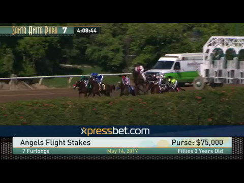 Angels Flight Stakes - May 14, 2017
