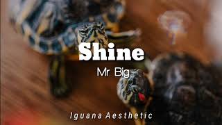Shine – Mr. Big  ||  Sub español