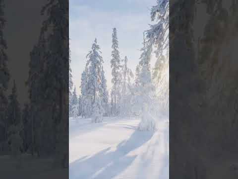 Guidad meditation Ljuset från norr – Inre ljus, lugn och själslig vägledning