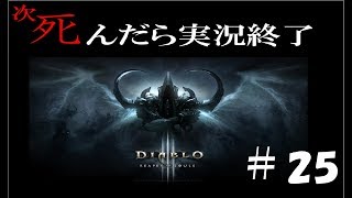 【死んだら実況終了】3人仲良くディアブロ3ゲーム実況part25
