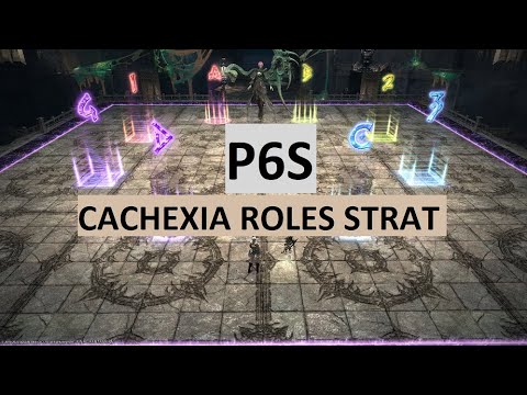 P6S Cachexia 1 Roles Strat