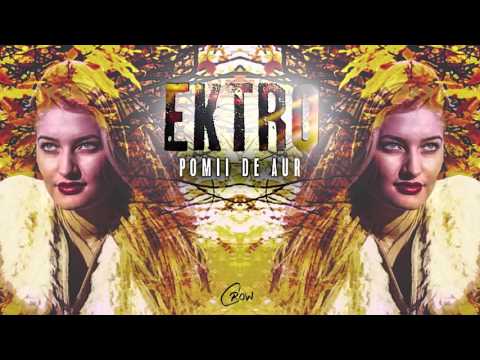 Ektro - Pomii De Aur (prod. Studio Tirat)