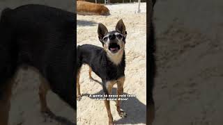 O QUE TEM NO LAGO? Parte 4 #series