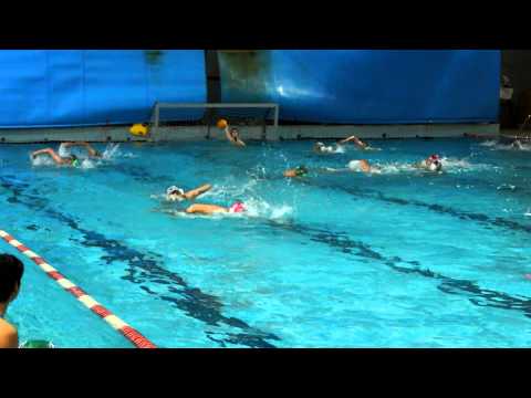 waterpolo cesena