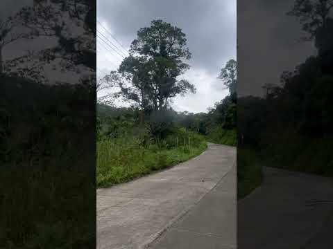 Cumbre Uria - Municipio Petit #Falcon #Venezuela
