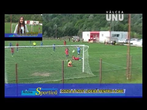 MINERUL COSTESTI - COZIA CALIMANESTI 1-4