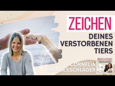 Sendet dein verstorbenes Tier dir Zeichen? (Podcast #178)