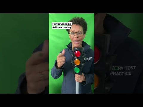 Difference between PUFFIN &  PELICAN Crossings I Theory Test #Shorts