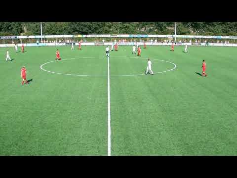 RKZVC HBS 20 9 2020 Samenvatting