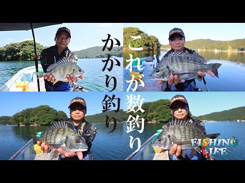 チヌのかかり釣り・数釣りのコツ