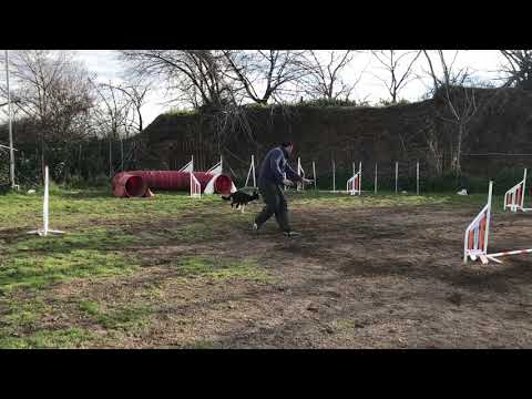 SAMI and Zip and Zap