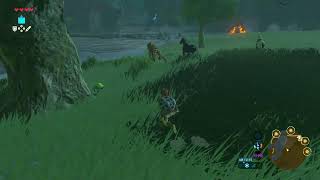 【SWITCH2】ゼルダの伝説　ブレスオブザワイルドを初見プレイ