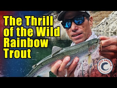 How to Fish Bullards Bar Reservoir for Trout video