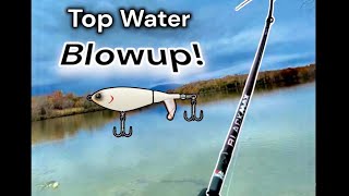 First TOPWATER catch! Choppo BLOW UP!!!!