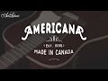 Art & Lutherie Americana Guitar