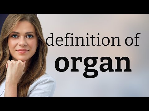 Organ • ORGAN meaning