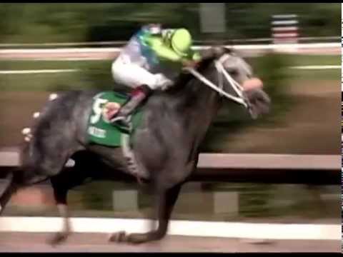 Copa Invitacional Importados 2009 - Amabo (PUR)