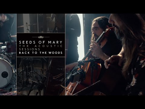 Seeds Of Mary feat. Qlay | Acoustic Sessions - Back to the Woods | Official Music Video | 4K