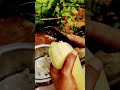 Banana Flower Vazhakoombu Thoran Life Shorts