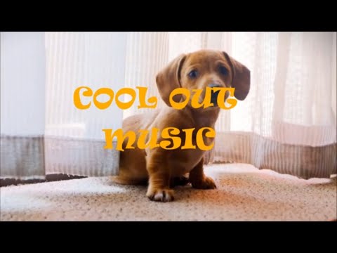 Maxkomusic - Positive (No Copyright Music) Hip Hop