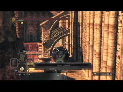 Funny moment in Iron Keep (Dark Souls 2)