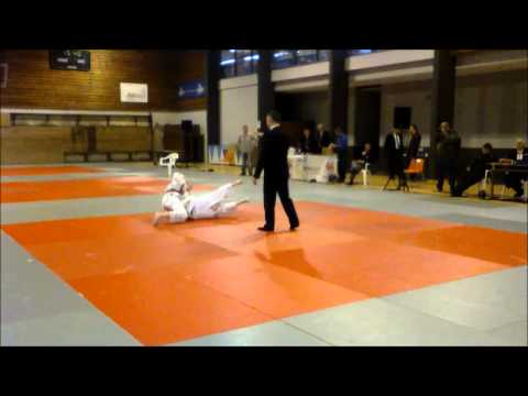 Ippon Judo 2013 1.Teil