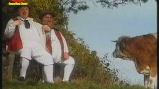 Die Wildecker Herzbuben - Jodeldadeldi (1999)