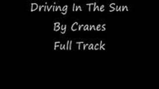 Driving In The Sun By Cranes
