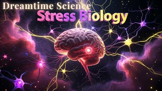 Unveiling How Stress Hijacks Your Mind