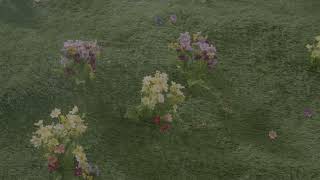 Caroline – “Good morning (red)”