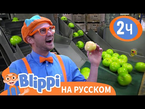Как устроена Яблочная Фабрика🍎🍏 | Изучай этот мир вместе с Блиппи | Blippi Russian
