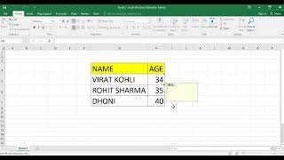 add image in one cell in excel