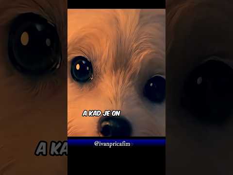 Ona Se Svake NOĆI Pretvara u PSA  #film #movie