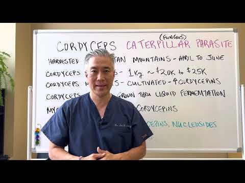 CORDYCEPS. Caterpillar🐛🐛(Fungus) Parasite