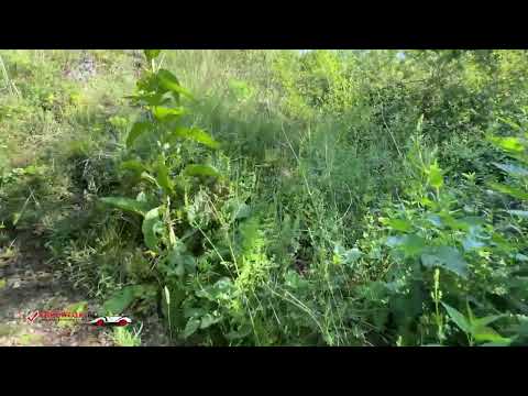 Peștera Runcu Mare, Jud Hunedoara, România