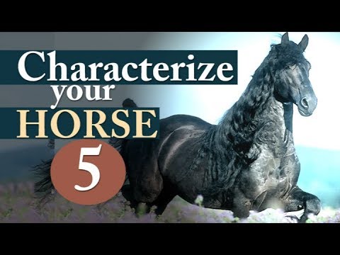, title : 'KFH Horse-Characters 5 - All Riders Horsemanship Basics'
