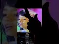 Barney In Concert ABC Song French
