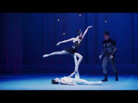Swan [Κύκνος]: ακροβατικό χορόδραμα του κινεζικού σύγχρονου χορού, όπου η αφήγηση συντελείται μέσω χορευτικής και ακροβατικής τεχνικής σε συνδυασμό με πολυμέσα. Παραγωγή Wu Promotion, 2026.