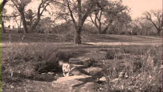 Run Judy Run- Intro to Film 2005