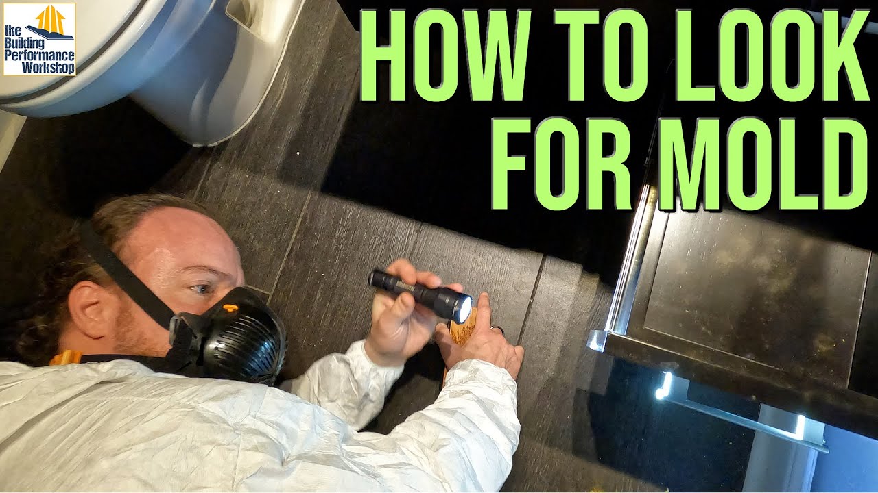 How do professionals test for mold?