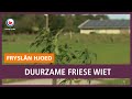 REPO: Duurzame Friese wiet