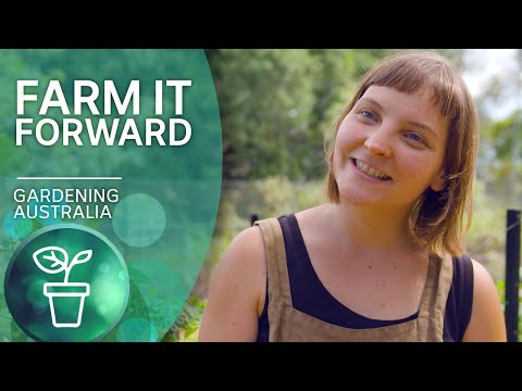 Growing market gardens on other people's properties | Urban farming | Gardening Australia