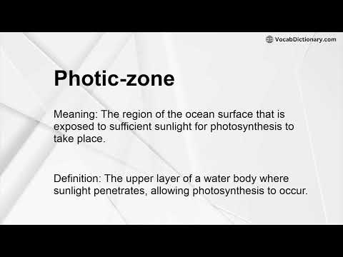 Photic-zone Meaning