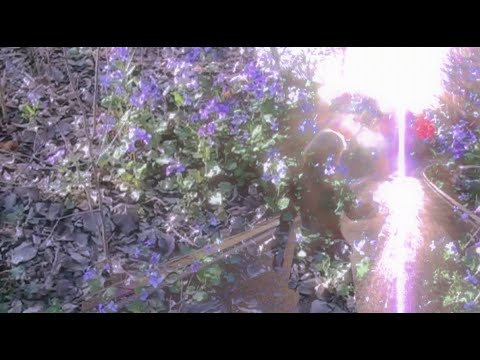 YUNG NIKE — 踩不到的影子（Music video）